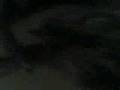 videos de horrible steve erwin imitation