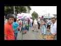 Fiestas Julias - Santa Ana 2010