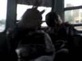 videos de MOV00008.3gp