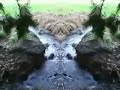 John F. Kennedy Arboretum in 1 minute