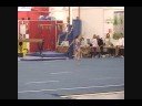 Fiona - Level 5 - Aloha Invitational 2008