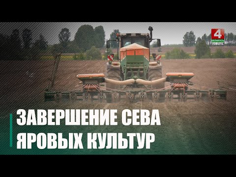 На Гомельшчыне плануюць завяршыць сяўбу яравых культур видео