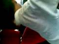 videos de Umbrella ni Yeco.