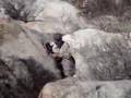 Cabazon Paintball