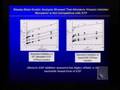 Pharmacology Scientific Research Symposium