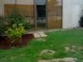 Feyo Troyes 2