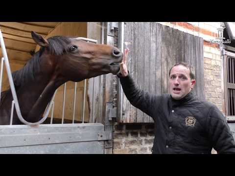 Gay Kelleway & Tim Hide chat Global Spectrum
