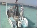 رحلات المتحدة رحلات المتحدة الغردقه جلاس بوت البحر الاحمر مصر الصيد