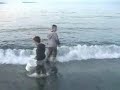 Caplin Fishing Caplin Fishing