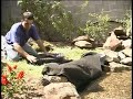 Installing the Skimmer Filter for Your Living Pond