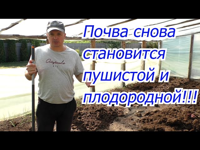 Три замечательных метода создать почву мягкой и плодовитой