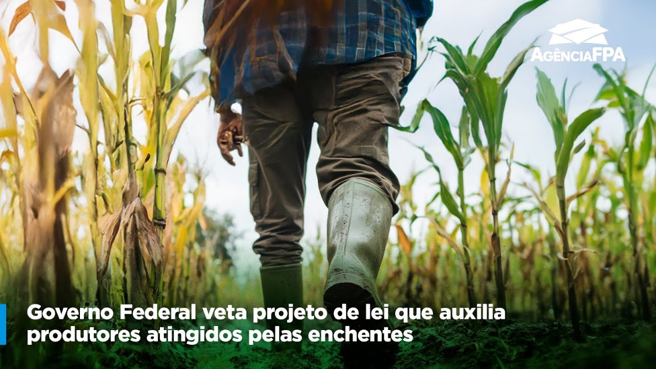 Governo Federal Veta Projeto De Lei Que Auxilia Produtores Atingidos Pelas Enchentes