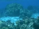 Huahine Avea Bay-Iles sous le vent Huahine Avea Bay-Iles sous le vent