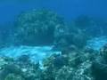 Huahine Avea Bay-Iles sous le vent