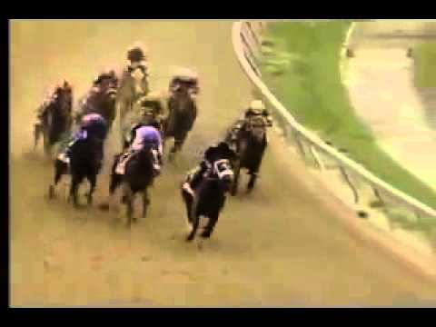 preakness stakes - Moore Oklahoma Tornado Raw Footage May 20, 2013 A mammoth tornado carved a trail of destruction through the Oklahoma City metropolitan area, killing at least...