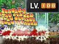 MapleStory - Thirtythirty Level up to 110 MapleStory - Thirtythirty Level up to 110