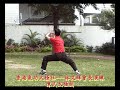 chen style taiji sword --- lam_man_fai_hugo chen style taiji sword --- lam_man_fai_hugo