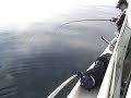 Pesca a Bolentino Pesca a Bolentino