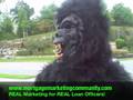 Gorilla