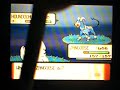 Shiny Houndoom 1/9 Shiny Houndoom 1/9