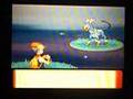 Shiny Houndoom 1/9