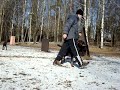 Koirat ja stara..... Mutta ei se kointähti Koirat ja stara..... Mutta ei se kointähti