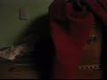 Tornado Warning in Michiana 8/4/2008 - Part 3/3 Tornado Warning in Michiana 8/4/2008 - Part 3/3