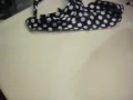 How To Fix Apple Mighty Mouse Scroll Ball How To Fix Apple Mighty Mouse Scroll Ball