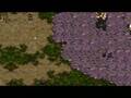 Starcraft PP- Marine Shock Squadron
