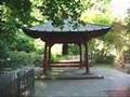 Es wird Sommer im Volkspark Berlin - Friedrichshain (Video)