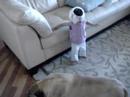 Danya Walking