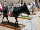 Balmaseda burros expokalea 08 Balmaseda burros expokalea 08