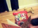 froot loops gets interviewed blooper