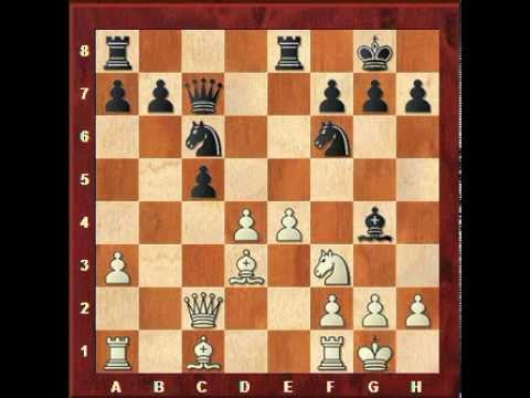 chess knight
