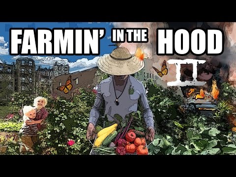 The Urban Farming Guys
