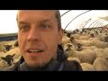 Symphony in Sheep: Kimmo and the farmyard orchestra Symphony in Sheep: Kimmo and the farmyard orchestra