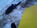 MOV01851.MP4