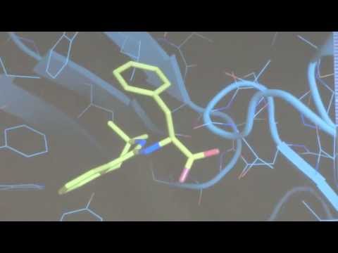 3D visualization in Drug Discovery QuantiSci. ZCon 2013