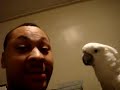 MOV00208