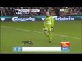 Cat delays Liverpool, Tottenham clash