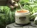 How to Clone Marijuana - Cloning Marijuana