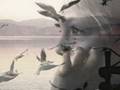 videos de Tarkan Incitanem