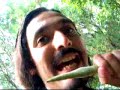 Cazando la Comadreja en China