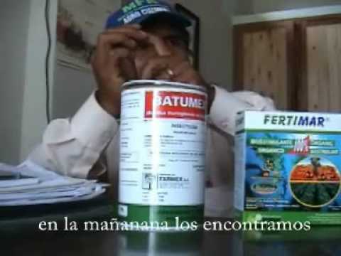 Imagen de previsualización de YouTube