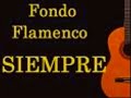 fondo flamenco -borraxera