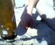 Litro en la playa