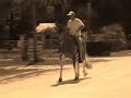 wgc-trail-pleasure-spotted-saddle-horse-horse-of-the-year.html