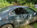 Pontiac Grand Prix Emerges from the Brush