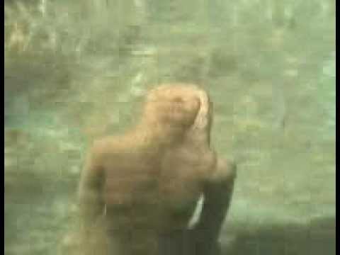 Who is the lady in the lake