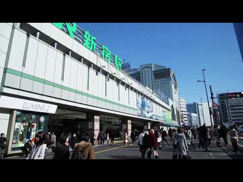 動画